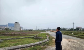 Nhiều người 'săn lùng' bất động sản sau Tết