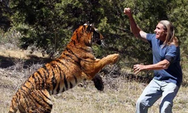 'Võ Tòng đả hổ' kiểu Mỹ