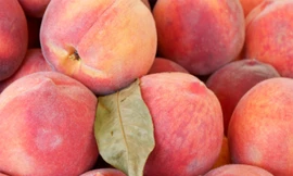 Quả đào bổ máu, chống ung thư