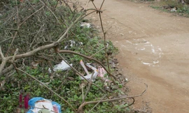 Hiện trường vụ đâm nhau