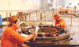 Mức cắt giảm lương phổ biến tại nhiều đơn vị của EVN là trên 10% Ảnh: Hồng Vĩnh