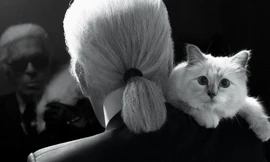 'Cô mèo' và những ai sẽ được hưởng tài sản của Karl Lagerfeld?