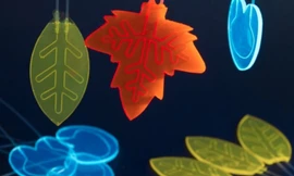 Hà Lan sáng tạo lá nhân tạo chuyển đổi ánh sáng Mặt trời thành thuốc