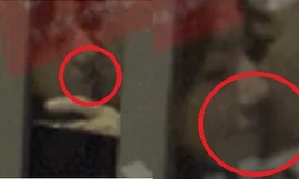 Lộ clip bị cưỡng hôn, Triệu Vy nói gì?