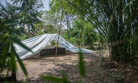 Anh hùng Nguyễn Văn Bảy an nghỉ dưới bóng khóm tre vườn nhà