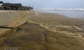 Nước biển đổi màu cà phê ở Quảng Ngãi. Ảnh: TTXVN