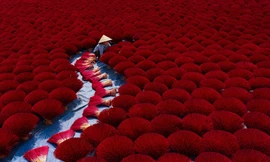 Việt Nam có 4 bức ảnh lọt top những khoảnh khắc ấn tượng nhất thế giới