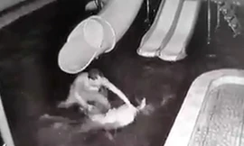 Ảnh cắt từ clip.