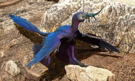 Hình ảnh loài khủng long có cánh nhỏ được mô tả.