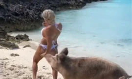 Mải tạo dáng trên bãi biển, người mẫu bikini bị heo cắn… vòng 3