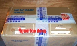 Vì sao hàng loạt quý bà, quý ông ở TPHCM sụp bẫy trai lạ