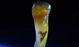 Mảnh ngọc mắt mèo với xác sinh vật cổ bên trong. Ảnh: Naitonal Geographic.