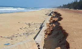 Xử lý các đơn vị làm ẩu kè biển 80 tỉ