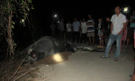 Hiện trường sự vụ