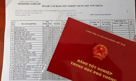 Bản tin 8H: Phó chủ nhiệm Ủy ban Kiểm tra Thành ủy không có bằng cấp 3