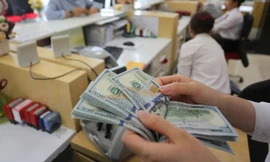 Ngân hàng Nhà nước sẵn sàng bán ngoại tệ can thiệp tỷ giá