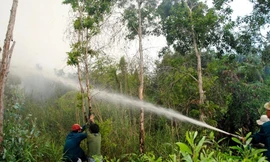 Chữa cháy rừng tràm U Minh Hạ (Ảnh tư liệu)