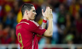 Torres trong màu áo tuyển Tây Ban Nha