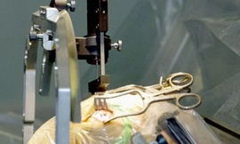 Dùng vi điện cực đưa thuốc vào não