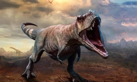 Khủng long bạo chúa có khớp ở hàm dưới khiến hàm răng của chúng cực khỏe.