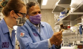 Hai tác giả nghiên cứu màng PEARL để lọc bỏ phốt phát và thu hội lại nó trong phòng thí nghiệm.