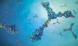 Các tự kháng thể COVID-19 tấn công não người. Ảnh minh họa.