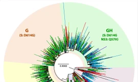 Biến thể mới của SARS-CoV-2 có khả năng lây nhiễm nhanh hơn.