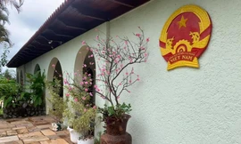 Hoa mai, hoa đào, bánh chưng xanh nơi tâm dịch COVID-19 lớn thứ ba thế giới 