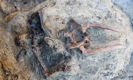 Bộ xương của người đàn ông ở thị trấn La Mã cổ đại bị chết vì thời tiết quá nóng, khiến cơ thể bị bốc hơi.