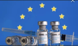 Châu Âu tăng tốc phê duyệt vắc xin COVID-19 ngừa biến thể mới 