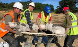 Các nhà khai quật khệ nệ khiêng hài cốt voi ma mút vừa được tìm thấy.