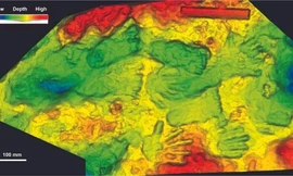 Dấu tay, chân để lại hơn 200.000 năm trước qua mô phỏng 3D