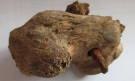 Chiếc đinh xuyên qua gót chân của một người đàn ông La Mã vừa được phát hiện ở Anh.