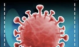 Biến thể P.1 của SARS-CoV-2 có tốc độ lây lan cao hơn và làm vắc xin COVID-19 kém hiệu quả hơn.