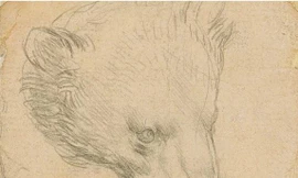 Bức phác họa chừng 20cm2 nhưng dự định được bán đấu giá hơn 16 triệu USD vì kỹ thuật silverpoint đặc biệt.