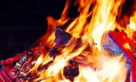 Giảm đốt vàng, mã bằng cách đánh thuế cao