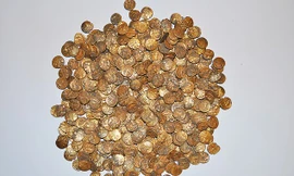 Đi ngắm chim, nhặt được hũ tiền vàng cổ trị giá hơn 26 tỷ đồng