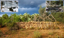 Căng mắt tìm người mẫu khỏa thân trong bộ ảnh thiên nhiên