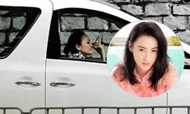 Mẹ Trương Bá Chi từng là mỹ nhân nức tiếng Hong Kong, làm tài xế xe công nghệ