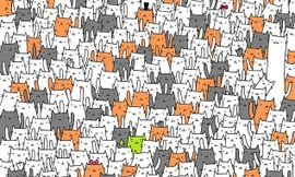 'Hack não' với các thử thách tưởng không khó mà khó không tưởng