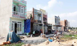 Ảnh minh họa: Internet