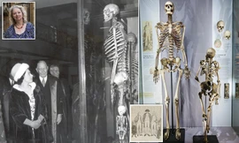 Bi kịch của ‘Người khổng lồ Ireland’: Chết hơn 200 năm không được chôn cất