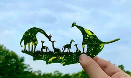 Nghệ sĩ Nhật mắc chứng ADHD với tài năng 'kể chuyện' trên lá cây