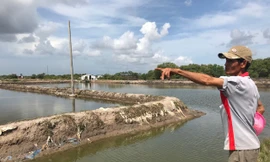 Dừng phân lô bán nền dự án 'vẽ' trên đất ruộng muối