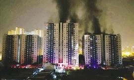 Khởi tố trưởng ban quản lý chung cư Carina	