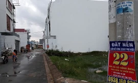 HoREA: 'Cò' chuyên nghiệp 'thổi giá' đất nền TPHCM