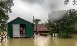 Nhà chống lũ phát huy hiệu quả trong cơn lũ vừa qua.