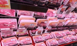 Lợn giá cao mang lại lợi nhuận lớn cho doanh nghiệp kinh doanh.