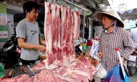 Siêu thị giảm giá, thịt lợn rẻ hơn từ 5-15 ngàn đồng/kg 