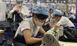 Theo các chuyên gia, dịch bệnh được cho là một cuộc sàng lọc, chỉ những doanh nghiệp có nội lực nhất định mới có thể vượt qua